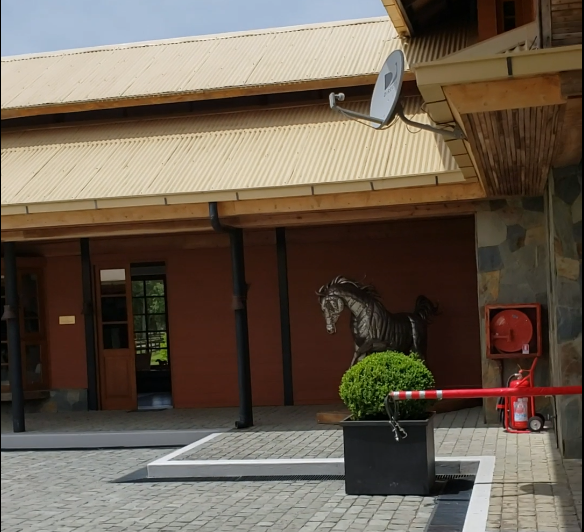 image_5